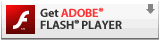 Adobe Flash Player is required to play Wizards of Wor.
